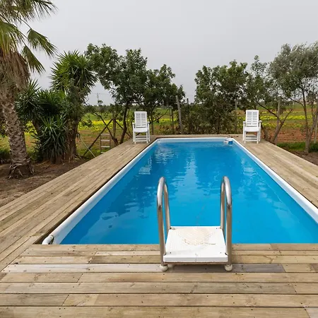 The And Art Seahorse House Holiday home